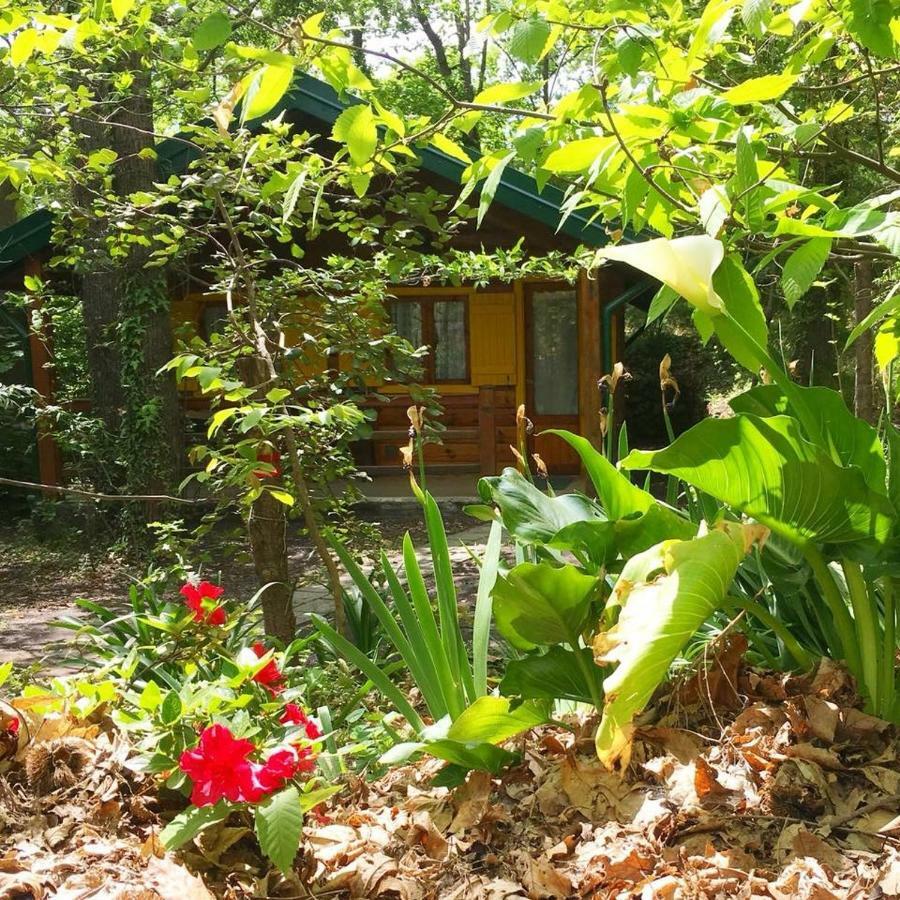 Chalet Etna Міло Екстер'єр фото